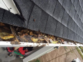 Gutter-Cleaning-Services